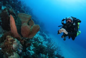 rebreather diving curacao goby divers try rebreather diving