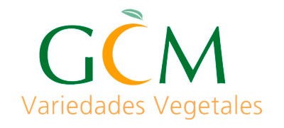 GCM