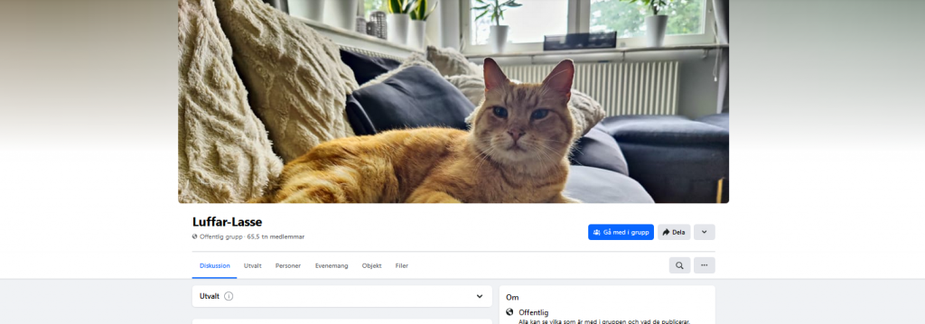 Katten Luffar-Lasse i Trollhättan blir TV-program. Facebookgruppen Luffar-Lasse har drygt 65 tusen medlemmar.