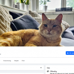 Katten Luffar-Lasse i Trollhättan blir TV-program. Facebookgruppen Luffar-Lasse har drygt 65 tusen medlemmar.