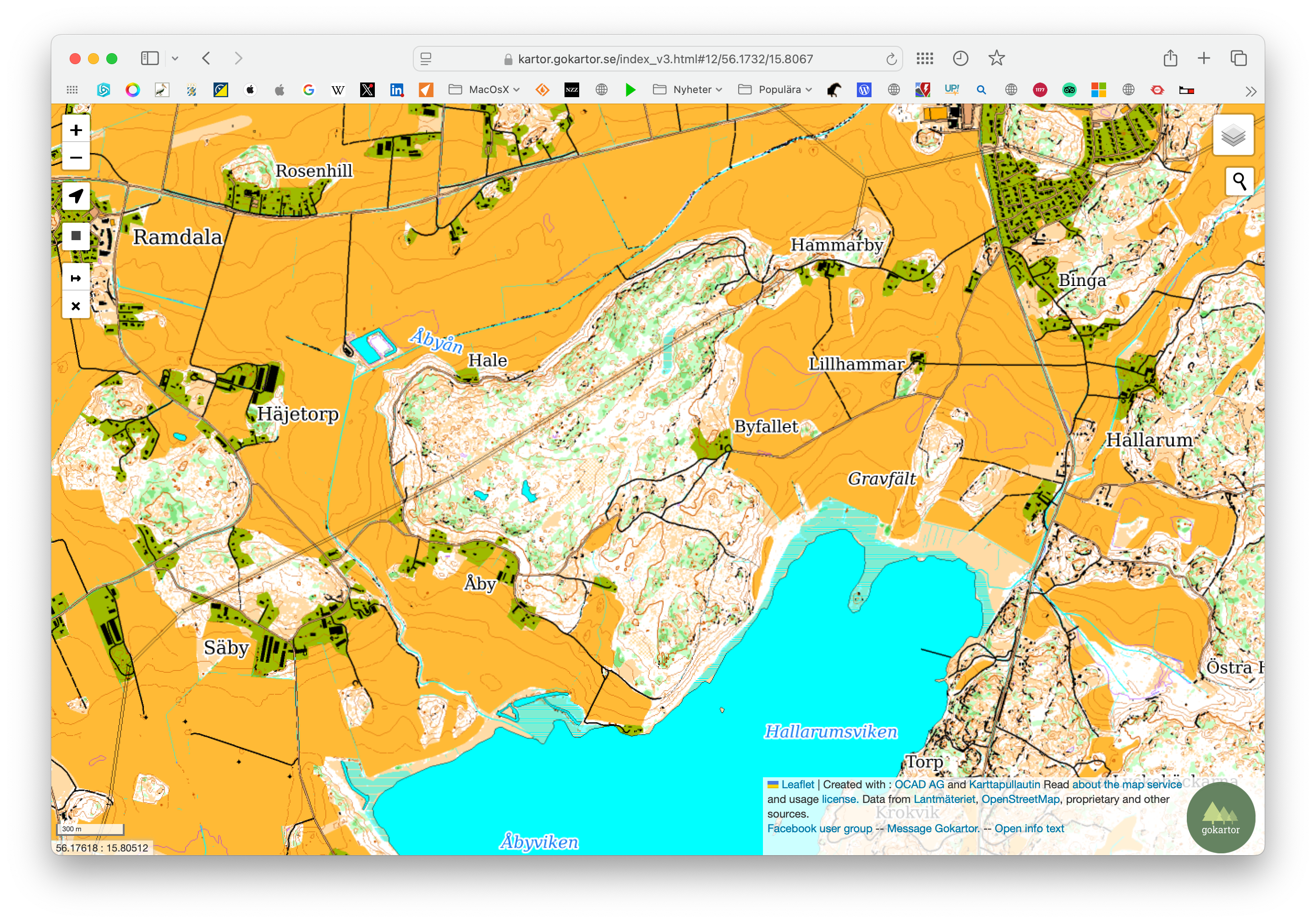 Skärmavbild 2025-01-28 kl. 17.13.08