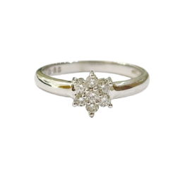 Brillantring 0,25 Karat Weißgold 585er Gold