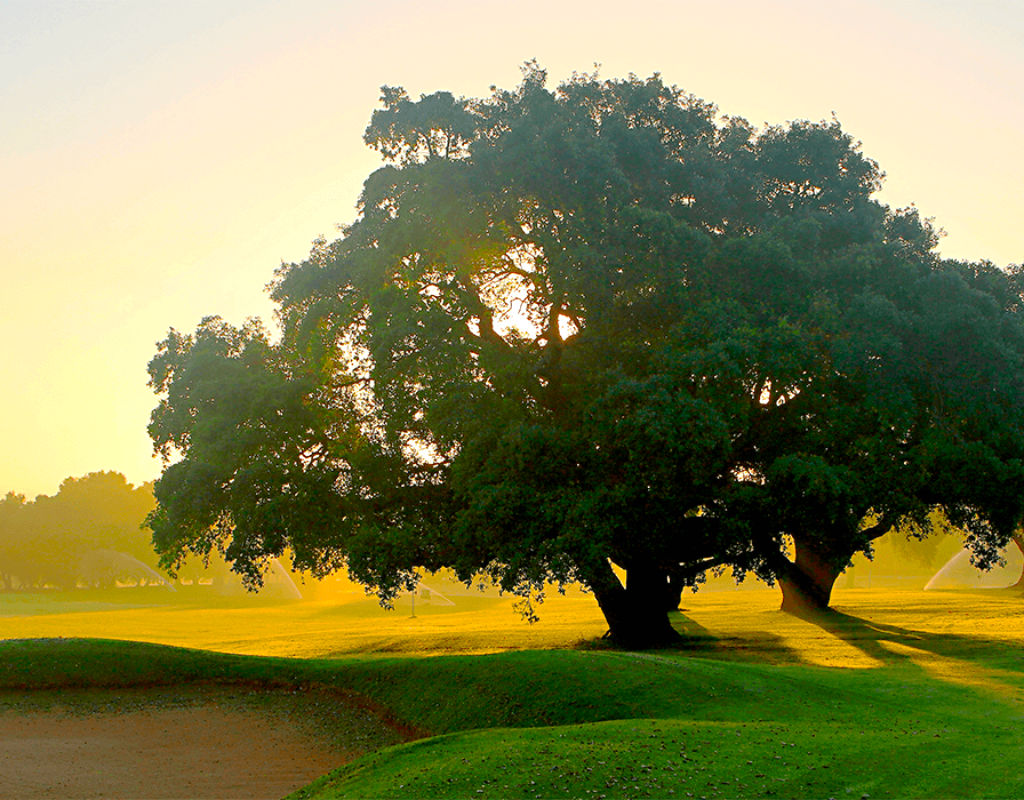 Hipotels Barrosa Palace 5 Golfatm