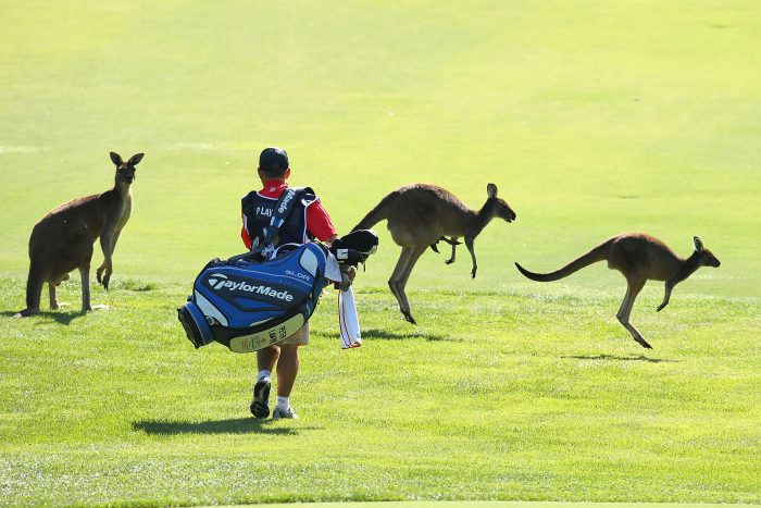 2013 Perth International - Day 1 Getty Images