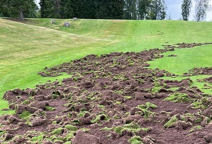 Billingens Golfklubb