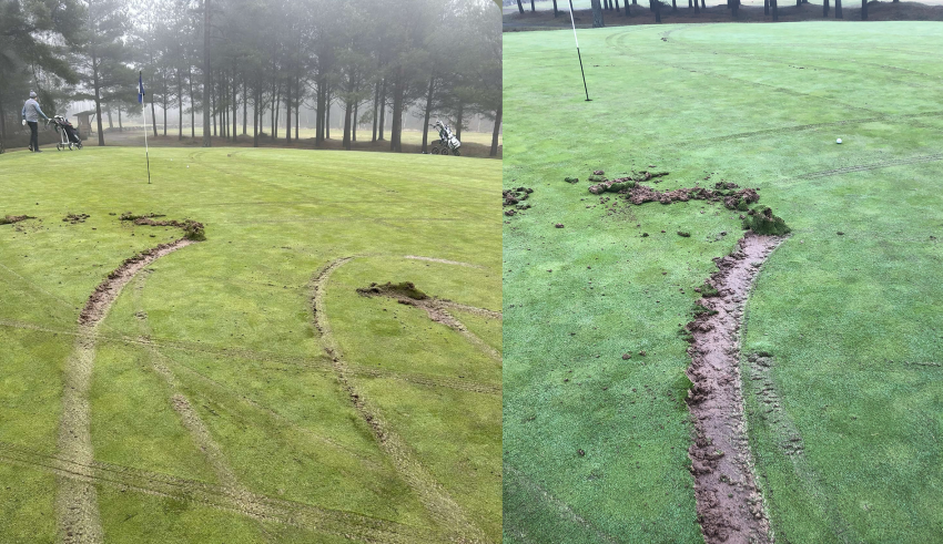 Falkenbergs Golfklubb
