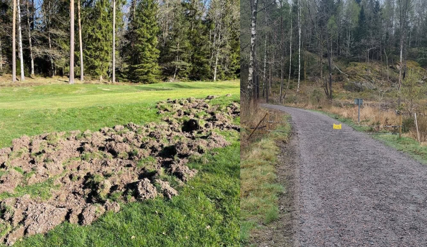 Mölndals Golfklubb