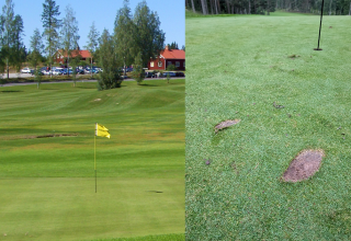 Bollnäs Golfklubb