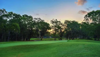 golfbanor skötsel