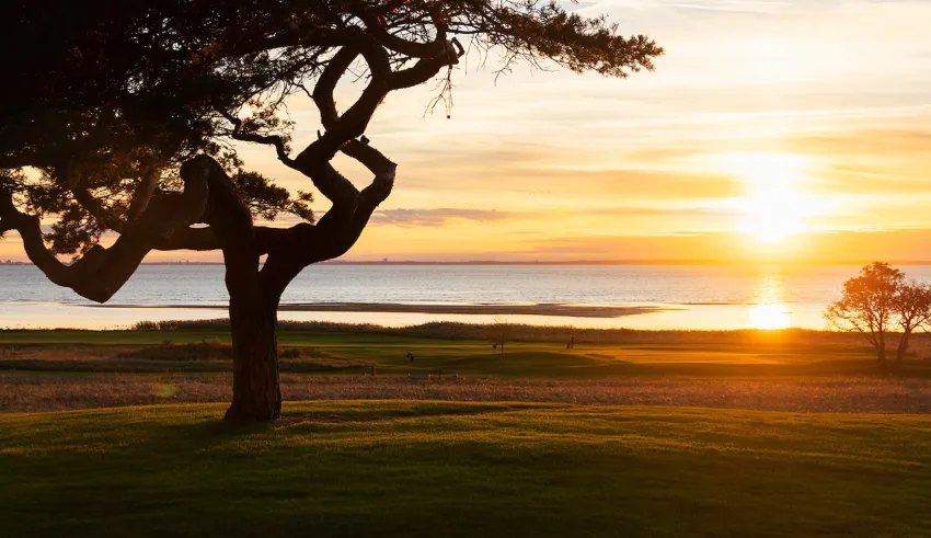 Barsebäck Golf resort