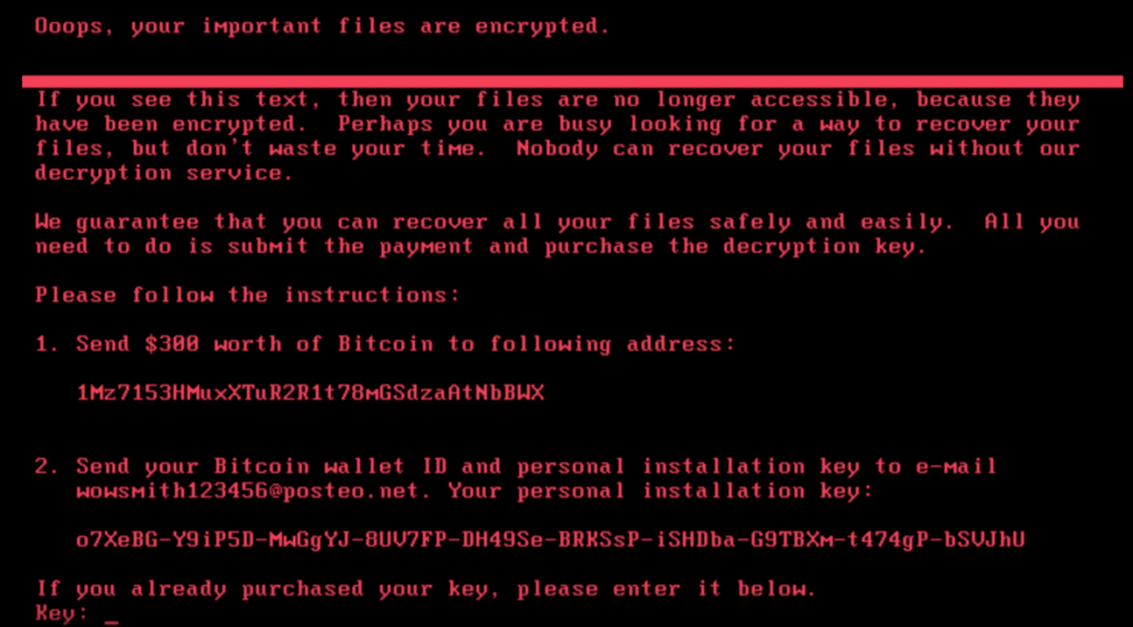 petya-1024x567