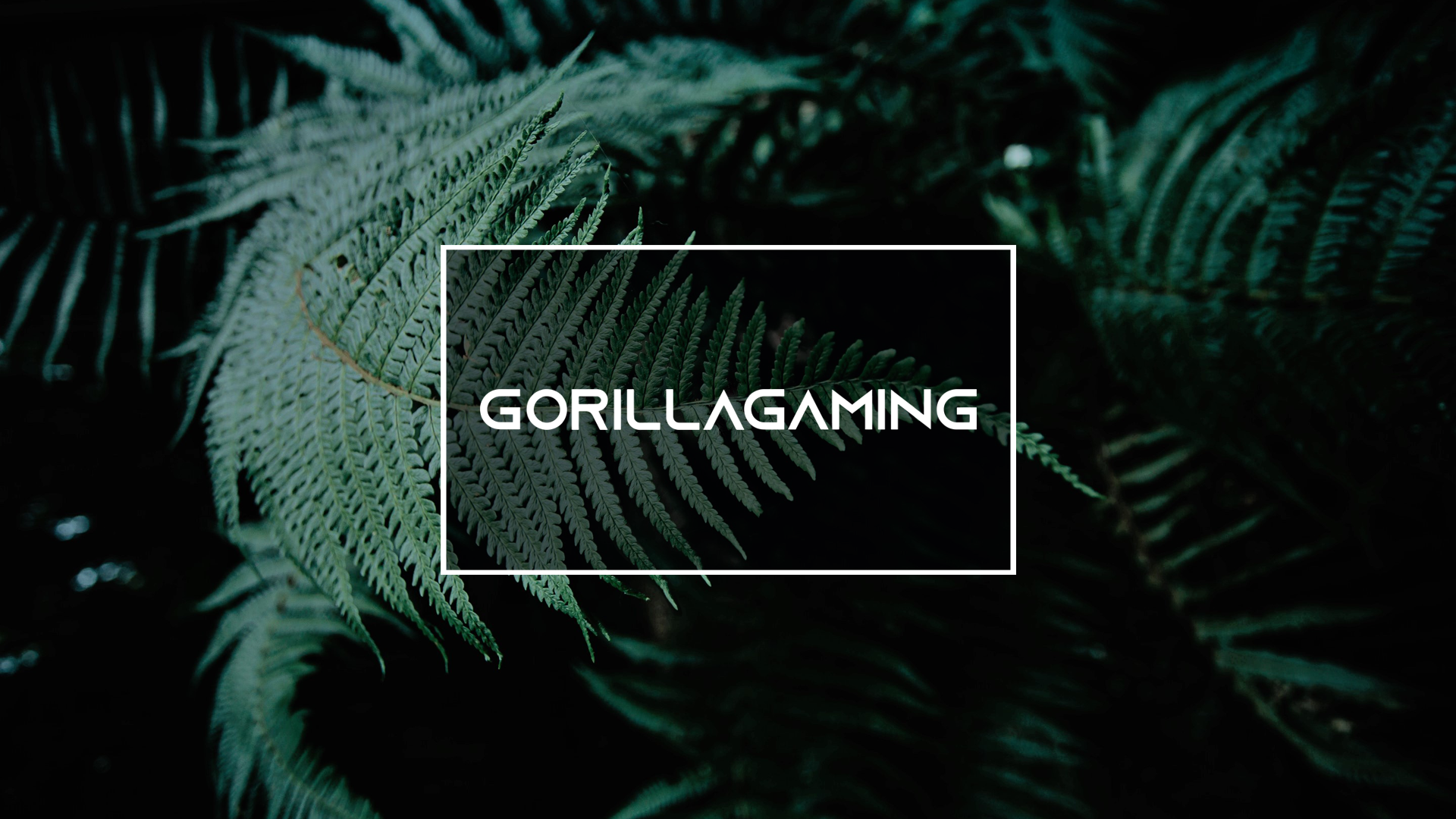 Baggrunde - Gorilla Gaming