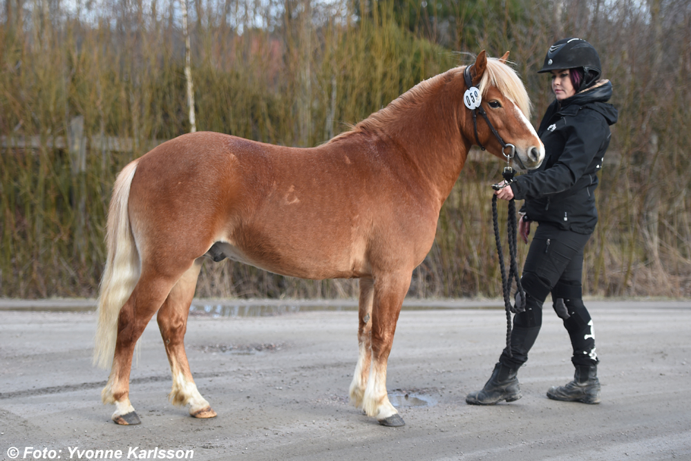 Ingen bild tillgänglig