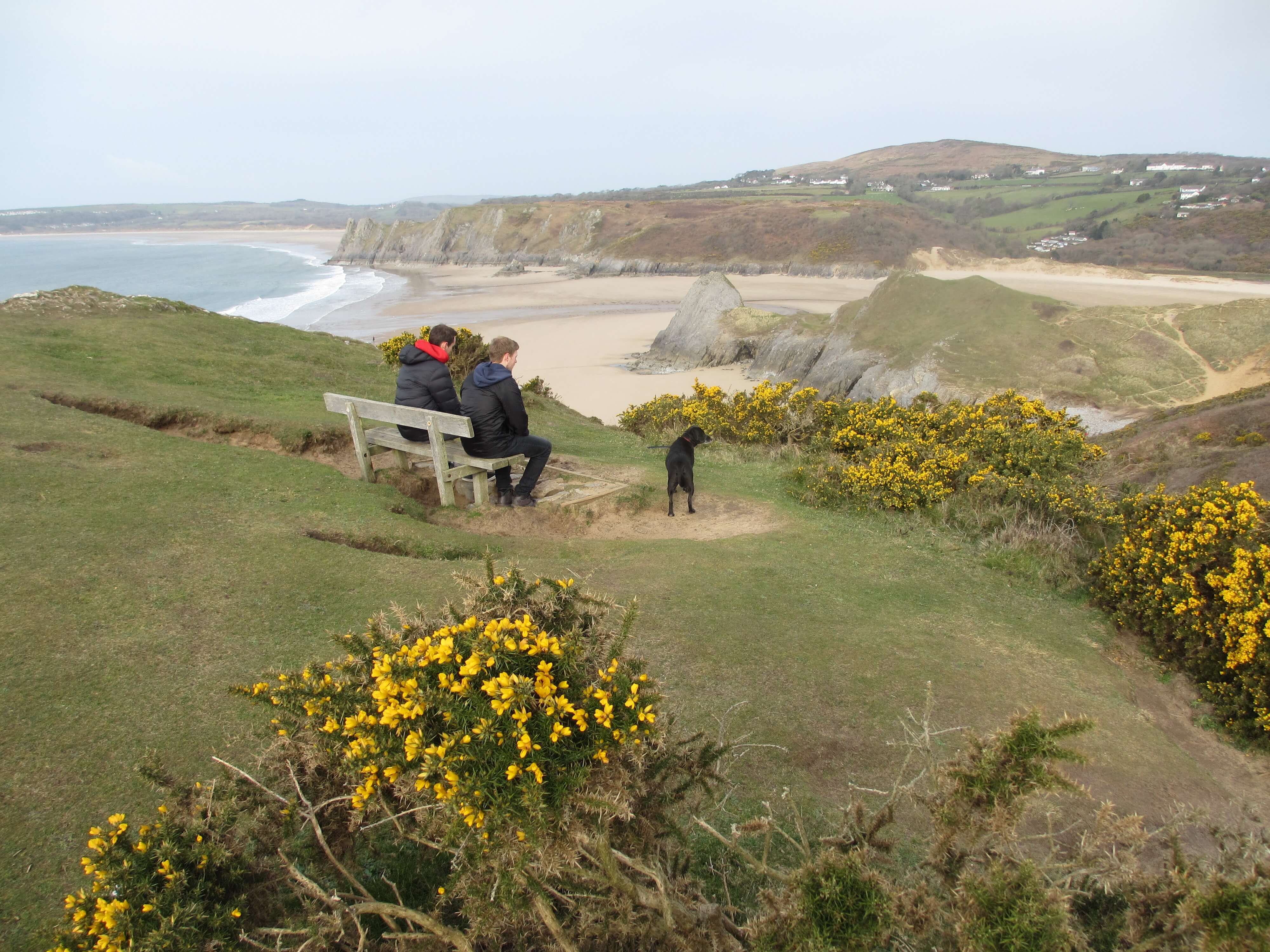 dog friendly holiday gower Gower Self Catering Holidays