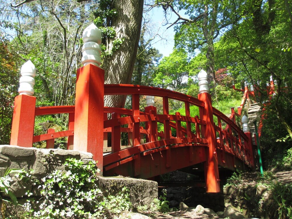 Red and white japanese bridge in Clyne Gardens