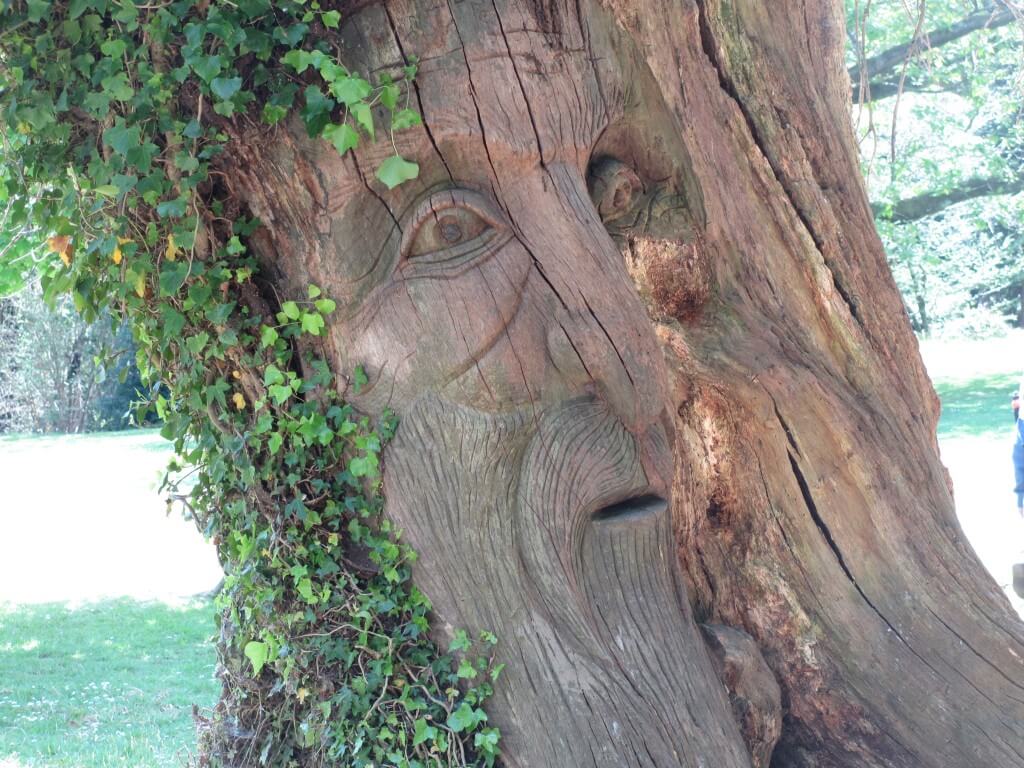 The story tree - a large trunk with a face carved into it