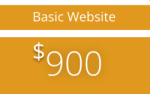 Basic Website ($ 900)
