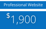 Professional Website ($ 1.900)