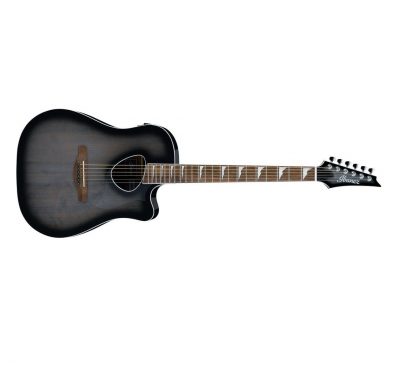 IBANEZ ALT30-TCB Western gitar med mikk.