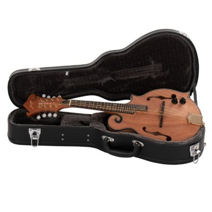 Morgan Mandolin M 63 E Nm W/case