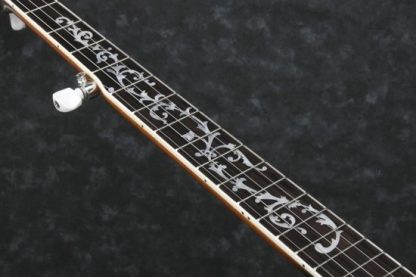 Ibanez B200 5-str. Banjo - Bilde 3