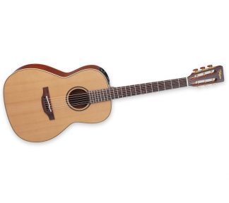 Takamine - P3NY