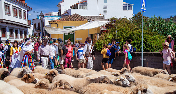 Fiestas del Pino