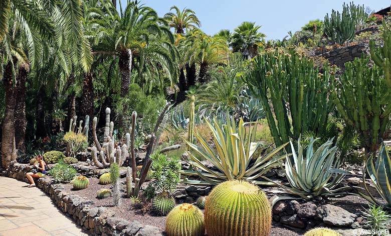 Palmitos Park kaktus