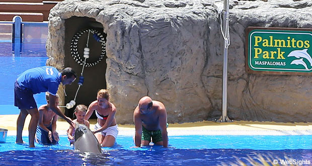Delfiner Palmitos Park