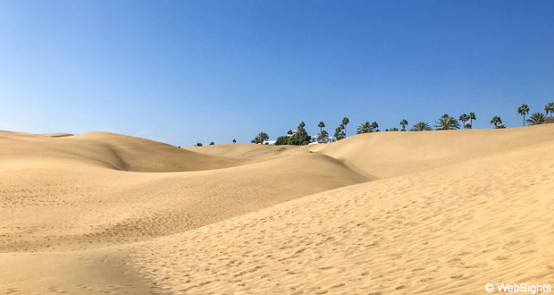 Maspalomas öken