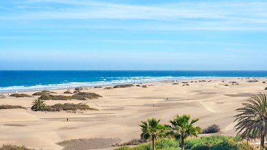 Die Dünen von Maspalomas ist ein außergewöhnliches Naturerlebnis.
