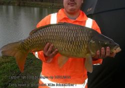 Karper 11,5kg Mike Smelcher 2014 01 16