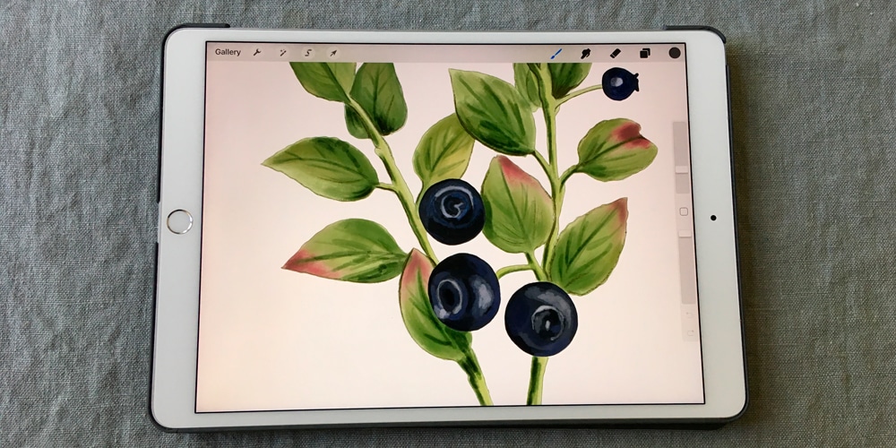 foto på en iPad. iPaden visar en illustration på blåbärris