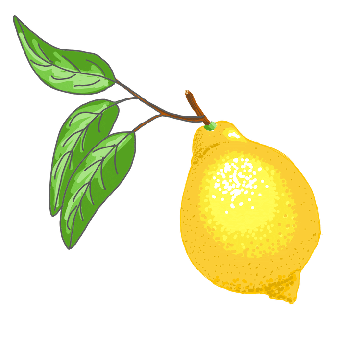 illustration av en citron