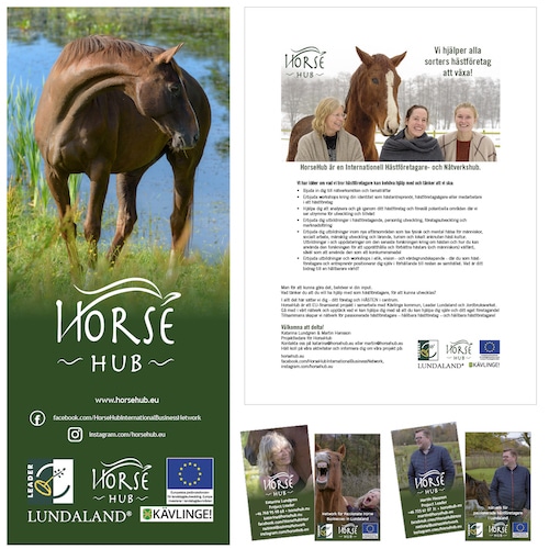 marknadsmaterial för Horse Hub