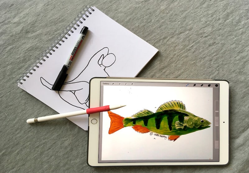 foto på en illustration tecknat på papper och en annan illustration på iPad