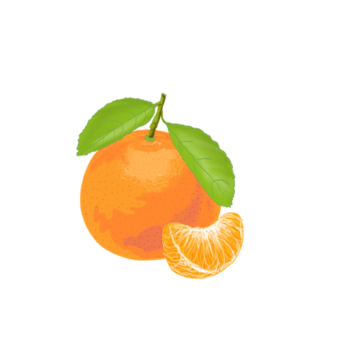 illustration av en mandarin