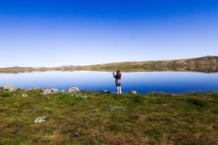 Hardangervidda
