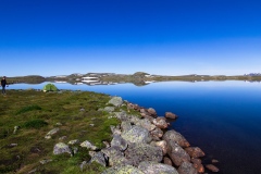 Hardangervidda