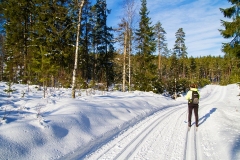 Skidåkning Alstertorp