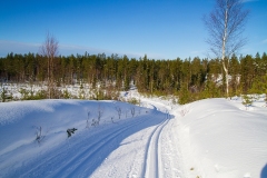 Skidåkning Alstertorp