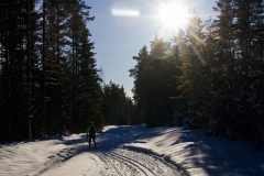 Skidåkning Alstertorp