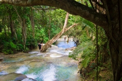 Dunn's River Falls