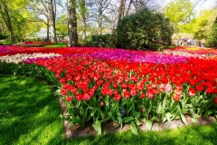 Keukenhof/blomsterparken