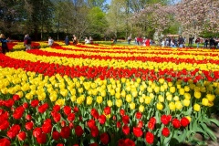 Keukenhof/blomsterparken