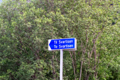 Svartisen