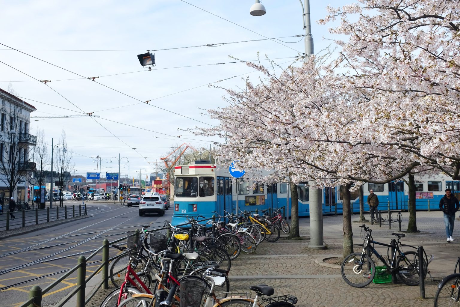 Hitta gratisparkering i Stockholm, Malmö, Uppsala mfl.