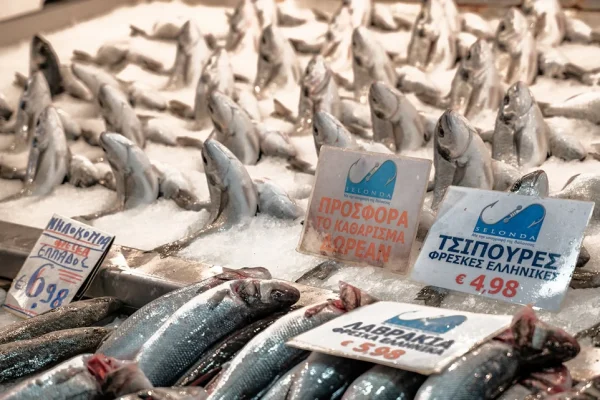 Fresh Fish at the Central Market | Culinary Backstreets Food Tour | Athens