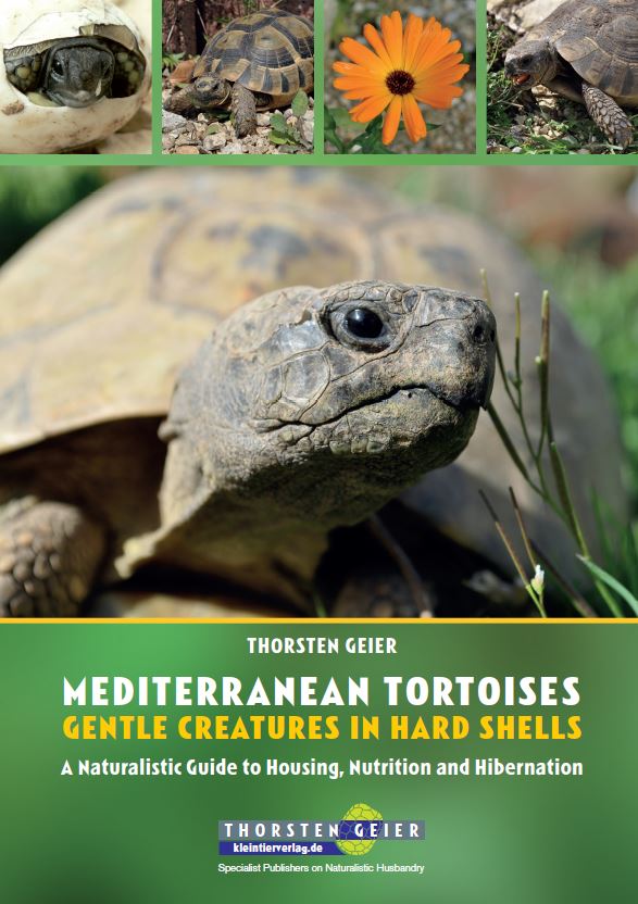 greek tortoise book