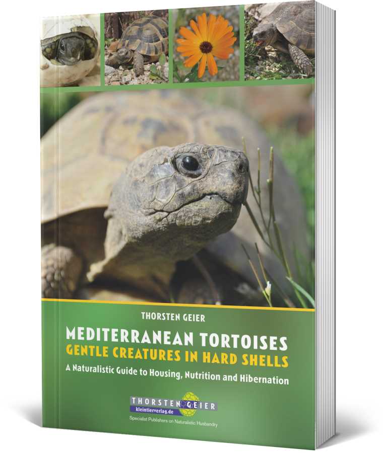 new book greek tortoise front